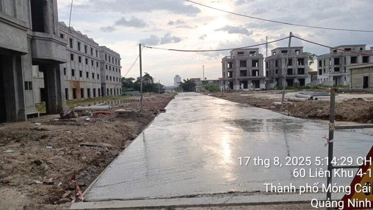 dca1807f08088456dd1911