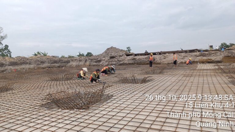 ff173504bc73302d69623